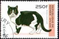 [Cats, タイプ ASN]