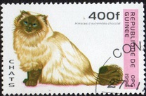 [Cats, タイプ ASP]