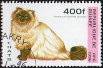 [Cats, タイプ ASP]
