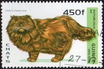 [Cats, タイプ ASQ]