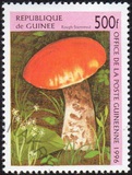 [Fungi, tegund ASY]