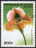 [Orchids, տեսակ ATH]