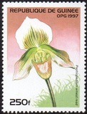[Orchids, տեսակ ATI]