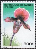 [Orchids, տեսակ ATJ]