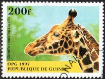 [Mammals, type ATO]
