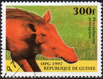 [Mammals, type ATQ]
