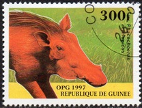 [Mammals, type ATQ]