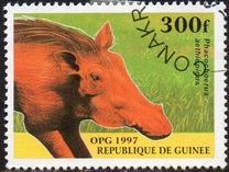 [Mammals, type ATQ]