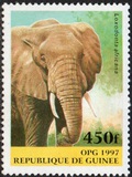[Mammals, type ATS]