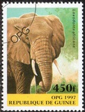 [Mammals, type ATS]
