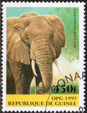 [Mammals, type ATS]