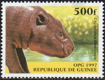 [Mammals, type XTS]