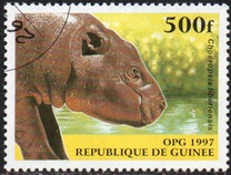 [Mammals, type XTS]