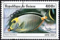 [Fish, тып AUE]