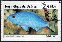 [Fish, тып AUF]