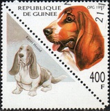 [Dogs, тып AVG]
