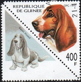 [Dogs, тып AVG]