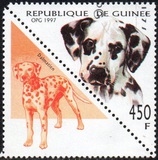 [Dogs, тып AVH]