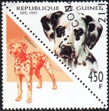 [Dogs, тып AVH]