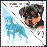 [Dogs, тып AVI]