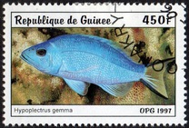 [Fish, тып AUF]