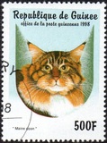 [Cats, Tipi AZC]
