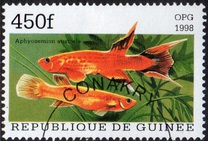 [Popular Aquarium Fish, type BDE]