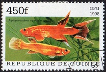 [Popular Aquarium Fish, type BDE]