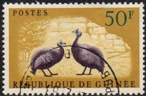 [Birds - Guineafowl, type AE4]