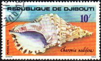 [Sea Shells, Typ AK]