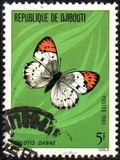 [Butterflies, type BX]