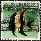 [Djibouti Tropical Aquarium, Вид CY]