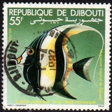 [Djibouti Tropical Aquarium, Вид CY]