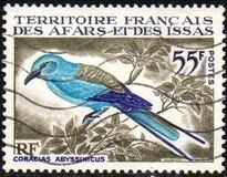 [Birds, type B]