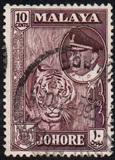 [Sultan Ibrahim & Local Motifs, type AH]