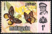 [Butterflies, type AU]