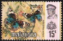 [Butterflies, type AZ]