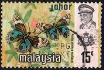 [Butterflies, type AZ]