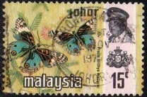 [Butterflies, type AZ]