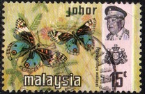 [Butterflies, type AZ]
