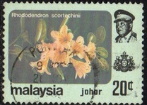 [Flowers - Not Watermarked, type BG2]
