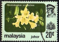[Flowers - Not Watermarked, type BG2]