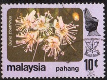 [Flowers, tip AY]