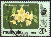 [Flowers, type BA1]