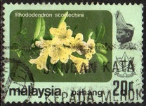 [Flowers, type BA1]