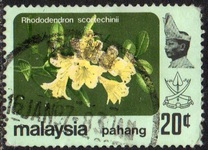 [Flowers, type BA1]