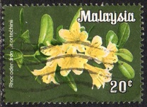 [Flowers, type F]