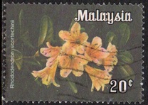 [Flowers, type F]