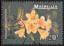 [Flowers, type F]