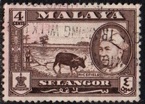[Sultan Hissamuddin Alam Shah & Local Motifs, type Y]